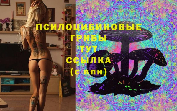 jwh Богданович