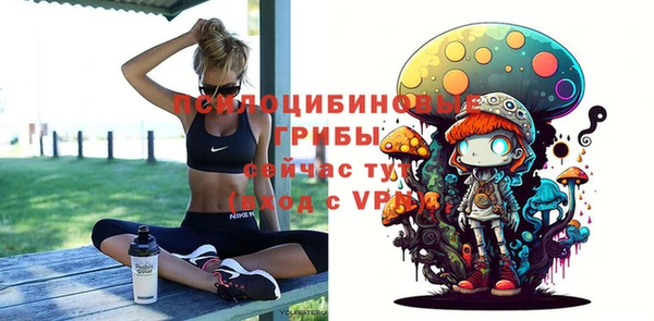 apvp Белоозёрский