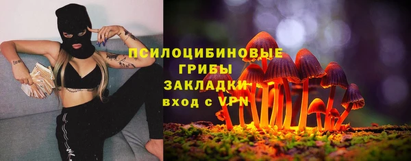 мескалин Белокуриха