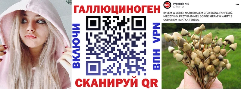 купить закладку  Оха  Галлюциногенные грибы мицелий 